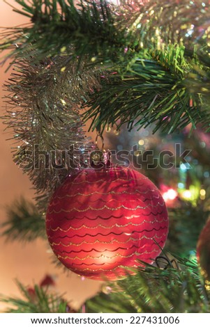 Beautiful red glass ball  on Christmas Tree