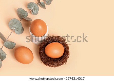 Composition with Easter eggs and eucalyptus branch on color background
