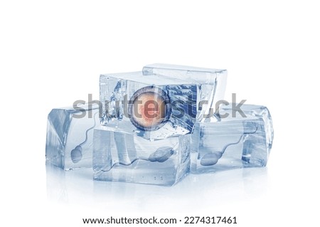 Cryopreservation of genetic material. Ovum and sperm cells in ice cubes on white background Royalty-Free Stock Photo #2274317461