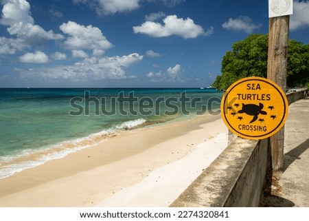 Turtle sign by beach and turquoise sea at  Speightstown Barbados