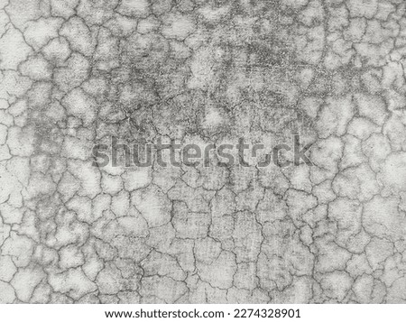 Rough Wall Texture.The Fascinating World of Crumpled and Rough Wall Texture Design.The Intricate Detail of Rough and Textured Wall Surfaces.The Timeless Character of Crumpled and Rough Wall Texture.