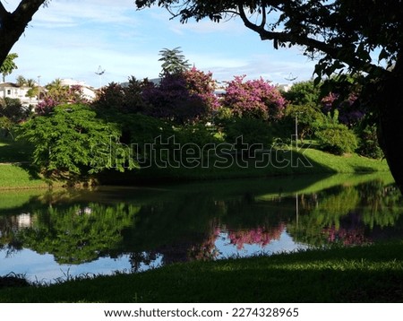 Park landscape with reflection in the lake against the light