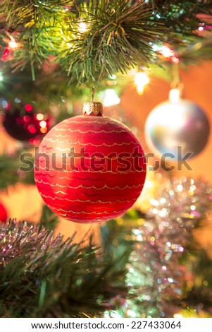Beautiful red glass ball on Christmas Tree