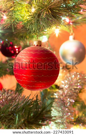 Beautiful red glass ball on Christmas Tree