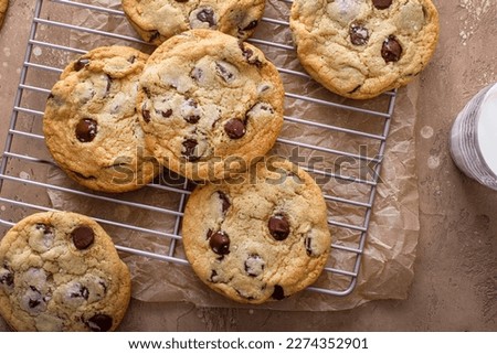 Chocolate chip cookies with flaky salt on a cooling rack, homemade freshly baked cookies Royalty-Free Stock Photo #2274352901