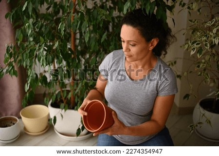 Multi-ethnic pretty woman, amateur gardener floriculturist horticulturist holding clay pot, enjoying floricultural hobby indoor, repotting houseplants at springtime. Environmental conservation concept Royalty-Free Stock Photo #2274354947