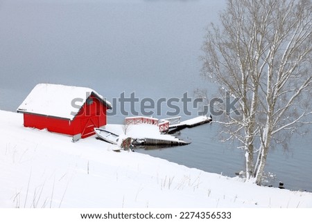 Winter landscape at Hornindalsvatnet, Holmoyane, Norway, Europe