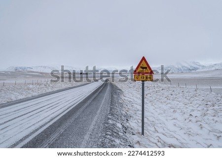 Warning road sign on a sraight icy road on a remote location in Iceland during winter with almost no difference between the snowy land and sky. Be carefull for reindeer!