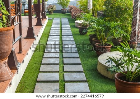 garden with well maintained and beautiful plants in the morning Royalty-Free Stock Photo #2274416579