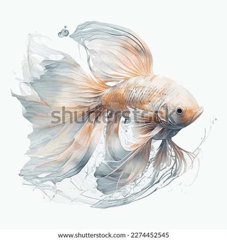 goldfish isolated on white background. vector illustration