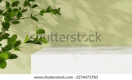 Minimal empty white marble counter table top, green tree branches in sunlight, leaf shadow on green wall, background for cosmetic, skincare, beauty treatment product display. 