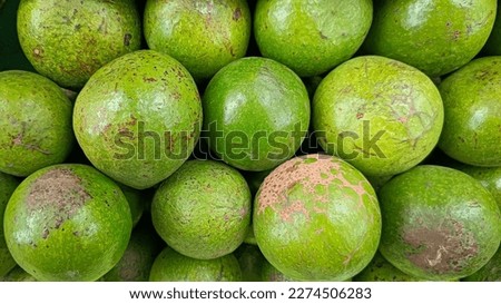 Closeup picture bunch of avocado fruit.