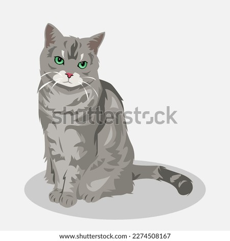 cute cat cartoon illustration. gray cat. full body. pet, animal. for print, sticker, poster, and more.