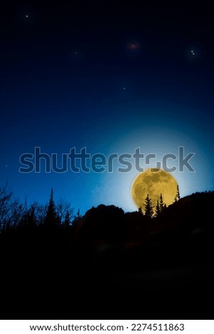 Full moon behide trees. Yellow worm glowing moon at night sky with stars and galaxy.