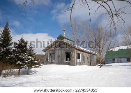 Sugar shack, old traditional barn in Quebec, Canada, surrounded by snow with vintage ski decoration Royalty-Free Stock Photo #2274534353
