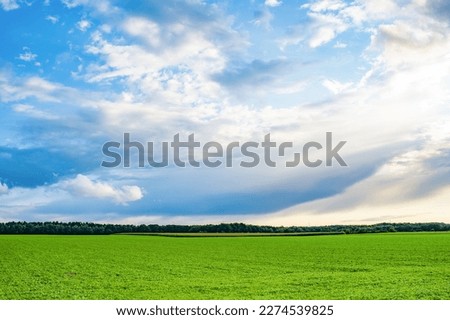 countryside landscape outdoor. countryside landscape with horizon. countryside landscape Royalty-Free Stock Photo #2274539825