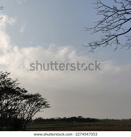 It's a raw picture of sky and tree without any edit, the view looks peaceful and quiet, beautiful sky.