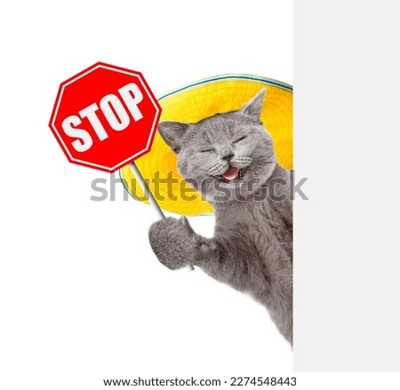 Happy cat wearing  summer hat looks from behind empty board and showing stop sign. isolated on white background