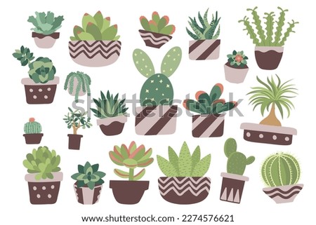 Set of Succulent Cactus Plant Cute Hand Drawn Illustration