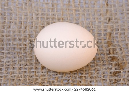 Here is a picture of a light brown egg