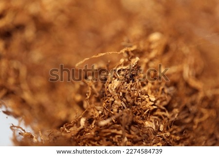 Rolling tobacco close up background big size high quality stock photos smoking self made cigarettes and joints