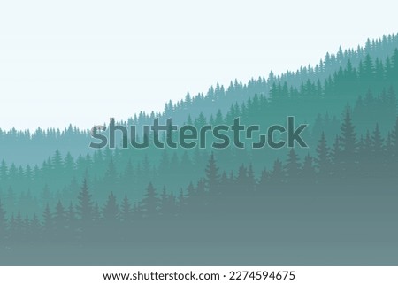 winter forest background. Pine forest landscape. Forest pine park. Fog and haze forest landscape.
