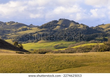 Grassy field and green rolling hills of Mt. Burdell in Marin County, California Royalty-Free Stock Photo #2274625013