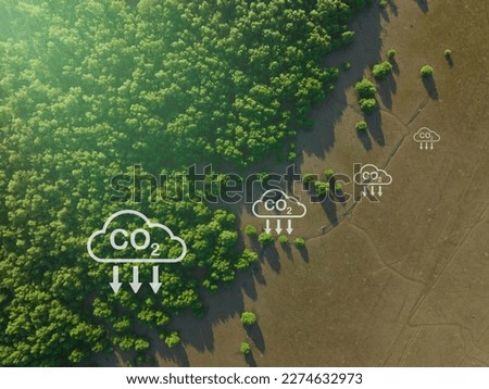 Carbon capture concept. Natural carbon sinks. Mangrove trees capture CO2 from the atmosphere. Aerial view of green mangrove forest. Blue carbon ecosystems. Mangroves absorb carbon dioxide emissions. Royalty-Free Stock Photo #2274632973