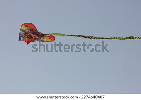 Snake Kite fly on sky