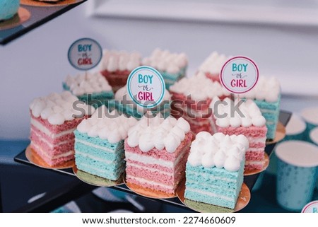 Table with pink and blue sweets for gender party. Baby Shower party decor. Delicious reception. Celebration concept. Trendy candy bar. Table with sweets, candies, dessert. Photo zone. Girl or boy.