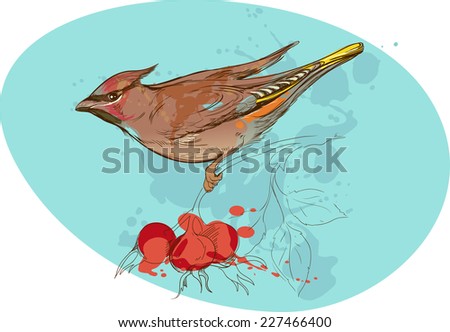image of bird on a branch with sorbus berries and smudges of paint