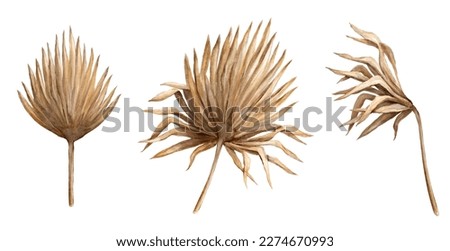 botanical watercolor illustration. Set of gold and brown tropical herbarium elements, dried palm leaves, rustic floral clip art isolated on white background