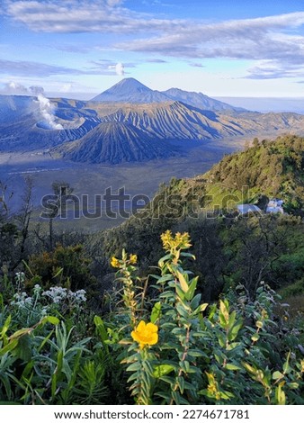 Panorama view of Mount Bromo and Mount Batok in the morning and blue sky; Mount Bromo is an active volcano and a famous destination for hiking or trekking on the island of Java, Indonesia
