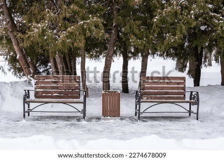 Park landscape with a bench and footpath in winter.
