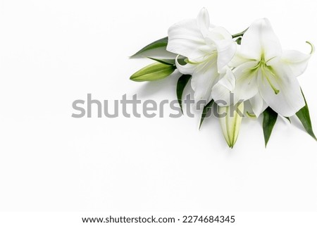 White liles flowers. Mourning or funeral background. Floral mock up. Royalty-Free Stock Photo #2274684345