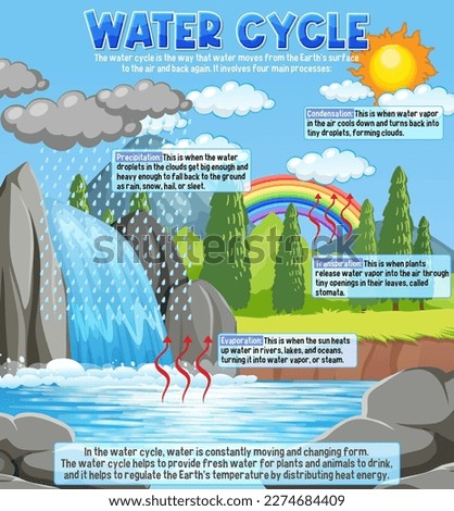 Water Cycle for Science Education illustration