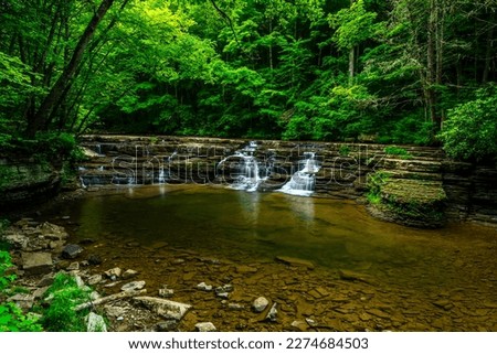 Campbell Falls Camp Creek State Park, West Virginia, USA Royalty-Free Stock Photo #2274684503