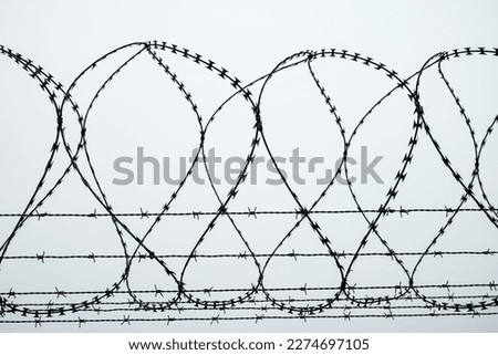 barbed wire fence. barbed wire background. close up of a prison fence. barbed wire on white background Royalty-Free Stock Photo #2274697105