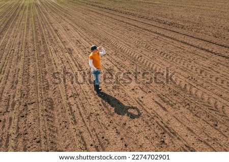 Aerial shot of female farmer standing in corn sprout field and examining crops. Farm worker wearing trucker's hat and jeans on plantation from drone pov. Royalty-Free Stock Photo #2274702901