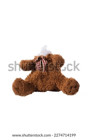 teddy bear toy without head, broken furry animal toy Royalty-Free Stock Photo #2274714199