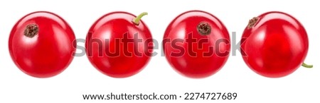 Red currant isolated. Currant red on white background. Perfect retouched currant berry on white. Top view berries with clipping path. Full depth of field. Royalty-Free Stock Photo #2274727689