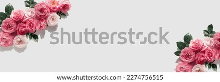 Floral composition made of beautiful pink rose buds lying on white background with sunlight. Nature concept. Summer theme. Minimal style banner. Top view. Flat lay
