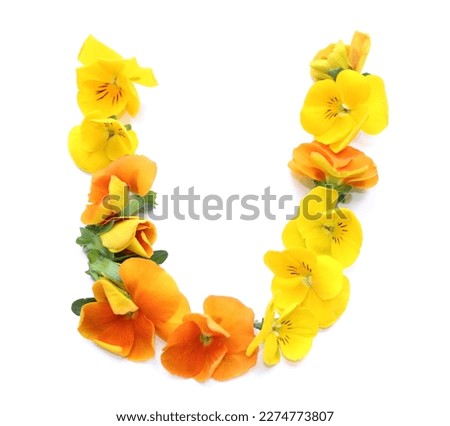 natural flower arrangements with orange yellow real fresh flowers combined letter U alphabet for Mother's Valentine's Day Wedding Thank you get well soon greetings cards by mail poster  Royalty-Free Stock Photo #2274773807