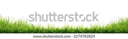Hi Resolution image of Fresh green grass isolated against a transparent background Royalty-Free Stock Photo #2274782829