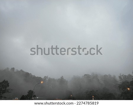 silent hill with mist in hill mountain rain forest tropical dramatic photography