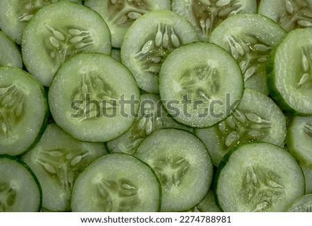 Cucumber slices as background. Green fresh cucumbers as background. Cucumber pattern texture. Vegetable food photo. Cucumis sativus, Cucurbitales.

