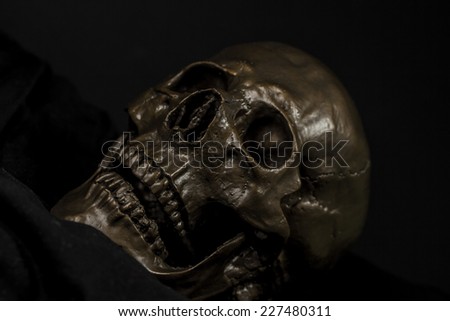 human skull model background