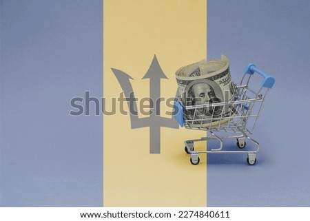 Metal shopping basket with big dollar money banknote on the national flag of barbados background. consumer basket concept. 3d illustration