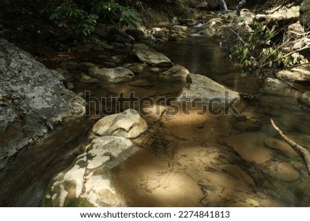 river water flows on the rocks in the middle of the forest