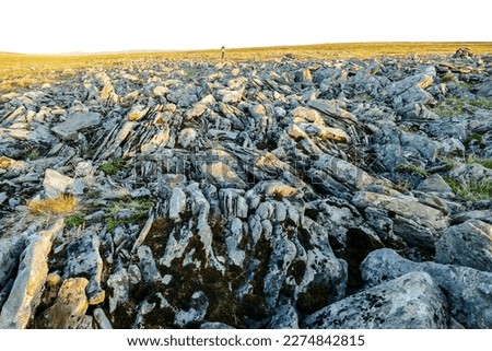 stones on beach, beautiful photo digital picture